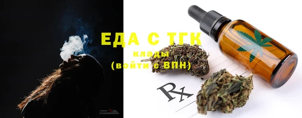 индика Гусев