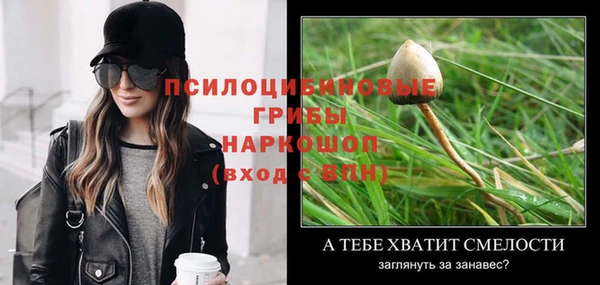 индика Гусев