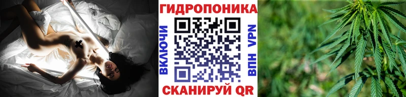 Купить где  Кондрово  МАРИХУАНА ГИДРОПОН 